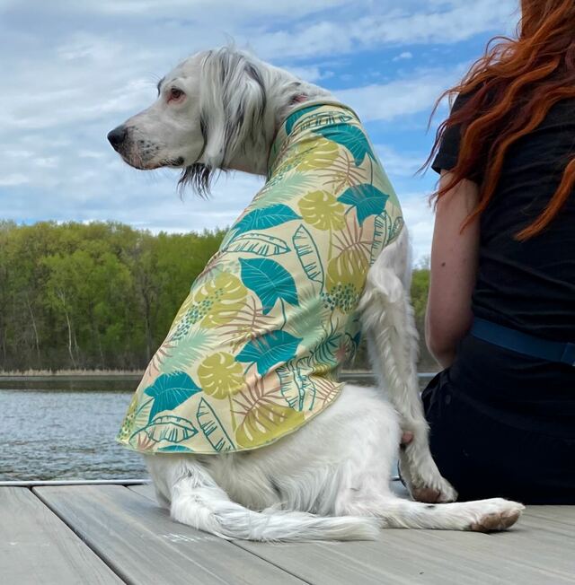 Sun shield 2024 dog tee