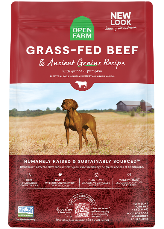 Grass-Fed Beef