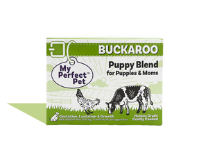 Buckaroo Puppy Blend