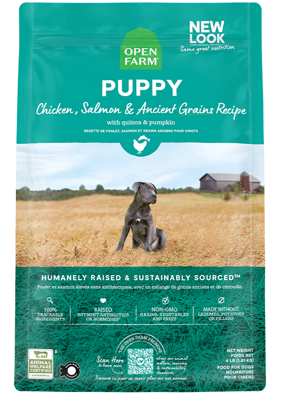 Puppy Ancient Grains Recipe