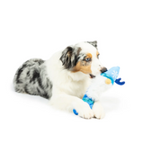 Frosty Gnome Bone Dog Toy