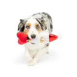 Silly Santa Bone Dog Toy