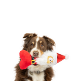 Silly Santa Bone Dog Toy