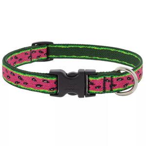 Watermelon Collar