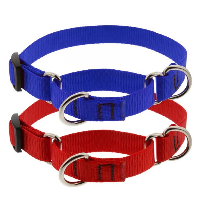 Red Martingale Collar – Muttley & Me