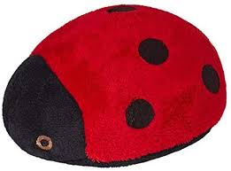 Lady Bug Toy