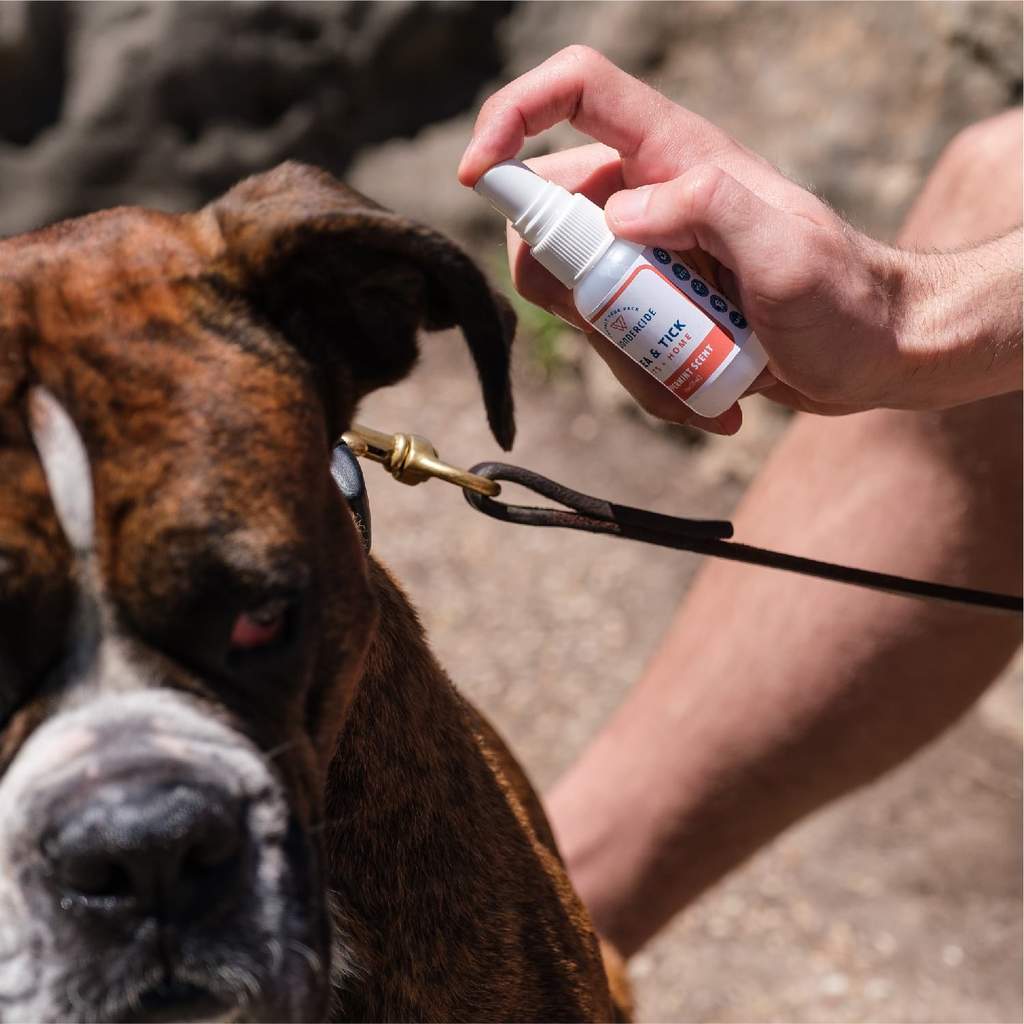 Peppermint Flea & Tick Spray – Muttley & Me