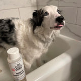 Dog of the Woods Shampoo